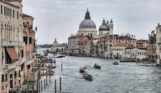 Discover the cannabis (weed) culture in Venice