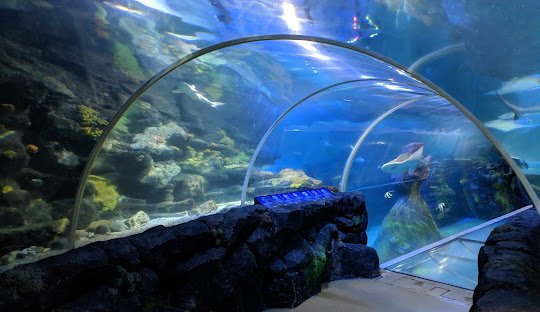 Explore the cannabis (weed) culture in Birmingham. Discover how to legally obtain (buy) weed in Birmingham, UK