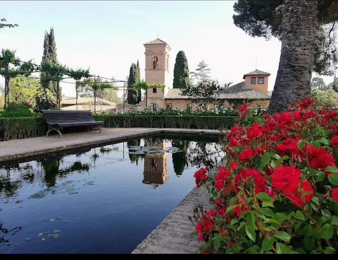 Cannabis Culture in Granada